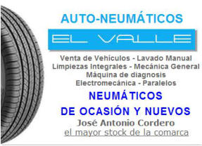 Auto-Neumticos El Valle | Talavera de la Reina