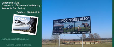 Club Hpico Roble Alto | Doma | Acoso y Derribo | Adiestramiento | Alta Escuela