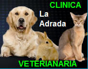 Clnica Veterinaria La Adrada | La Adrada