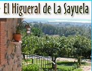 Casas Rurales y Apartamentos Tursiticos El Higueral de la Sayuela | El Raso