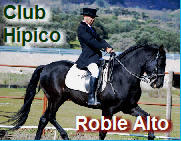 Club Hípico Roble Alto | Candeleda | Tierras de Talavera de la Reina