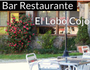 Restaurante El Lobo Cojo | Talavera de la Reina